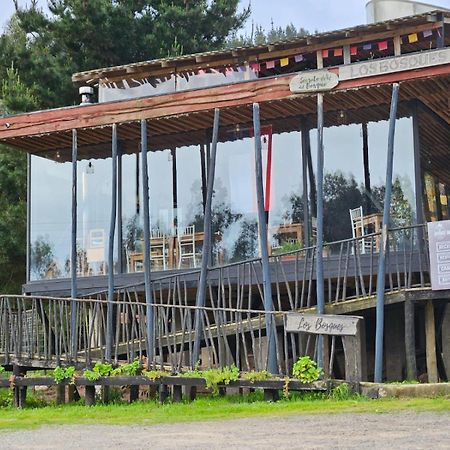 Lodge Los Bosques Matanzas  Exteriér fotografie